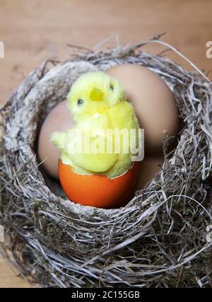 Il pollo giocattolo si siede in un nido sulle uova di Pasqua Foto Stock