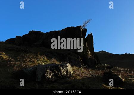 Cresta rocciosa e albero sulla passeggiata di montagna Wenallt Tap, Blaen Pennant vicino a L lanydawdwy Foto Stock