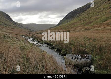 Paesaggio intorno a piedi montagna Wenallt Tap, Blaen Pennant vicino Llanymawddwy con vista sulle montagne Berwyn Foto Stock