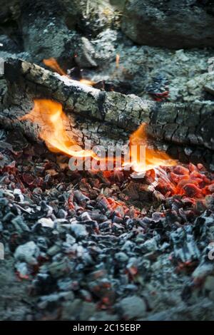 Fase di combustione del legno Foto Stock