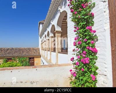 Galleria arcuata windows del Sud Pavillon del Generalife nel complesso Alhambra. Granada / Spagna Foto Stock