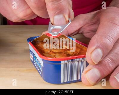 Un dito dell'uomo in un anello tirare indietro staccando il coperchio di una lattina, contenente filetti di sgombro pronti a mangiare in salsa di pomodoro. Foto Stock