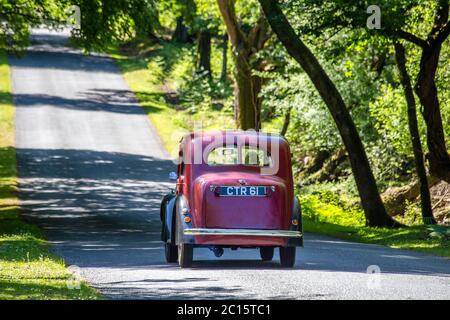 Auto classica Austin Seven Ruby che attraversa la scena boschiva del New Forest National Park, Hampshire, Inghilterra Foto Stock