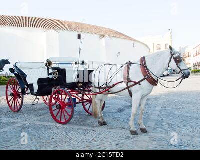 Carrozza a cavallo a Ronda. Arena di corrida anteriore Foto Stock