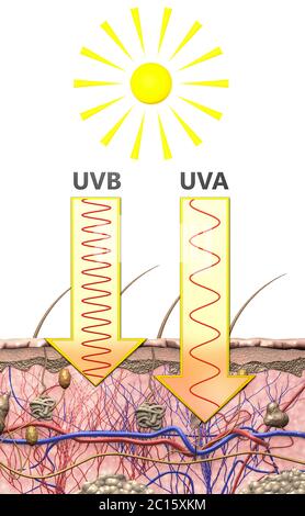 Rappresentazione illustrativa della differenza di lunghezza d'onda della radiazione ultravioletta di tipo a e b nell'illustrazione 3D della luce solare Foto Stock