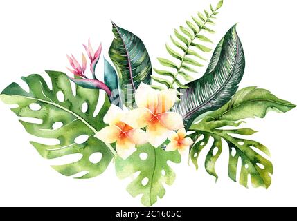 Bouquet di fiori tropicali disegnati a mano con acquerello. Foglie esotiche di palma, alberi della giungla, elementi tropicali brasiliani e fiori. Perfetto per il design del tessuto Illustrazione Vettoriale