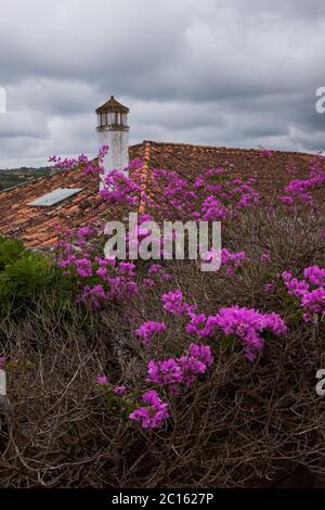 Óbidos, Portogallo - famosa destinazione turistica per la sua architettura e la sua storia - Case tradizionali dai colori vivaci con fiori Foto Stock