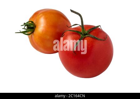Pomodori freschi isolati su sfondo bianco. Foto Stock