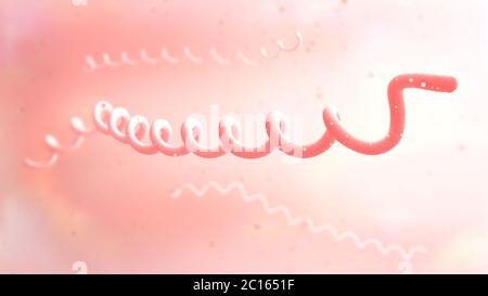 3d illustrazione di colore rosso la malattia di Lyme agenti patogeni sulla metropolitana rossa Foto Stock