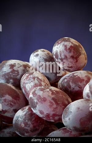 Uve rosse sulla vite ricoperta di fioritura Foto Stock