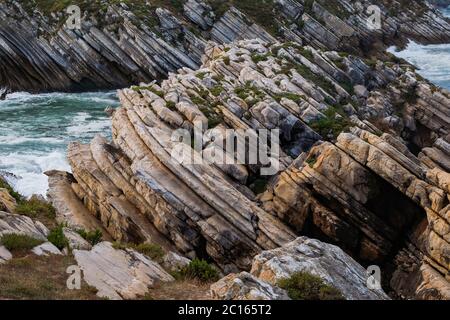 Baleal, Portogallo - formazioni rocciose sulle acque dell'Oceano Atlantico con vegetazione salata Foto Stock