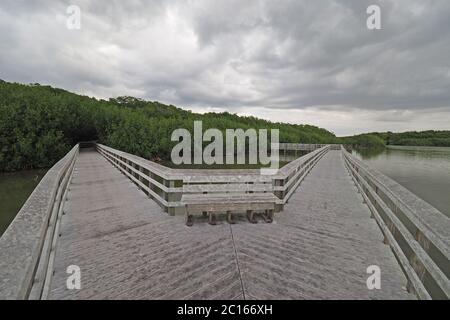 Passeggiata sul lago occidentale nel Parco Nazionale delle Everglades, Florida, sotto il suggestivo paesaggio del primo mattino. Foto Stock