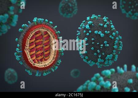 3d illustrazione di un scientificamente corretta rappresentazione di una influenza agenti patogeni in sezione trasversale Foto Stock