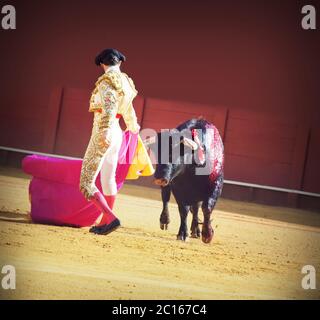 Torero con bull nell'arena dei tori in Spagna Foto Stock