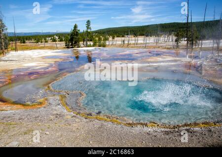 Eruzione primaverile di Firehole su Firehole Lake Drive nel Parco Nazionale di Yellowstone Foto Stock