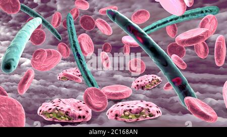 Malaria patogeno che causa la malattia della malaria e le cellule del sangue nella circolazione del sangue - illustrazione 3d Foto Stock