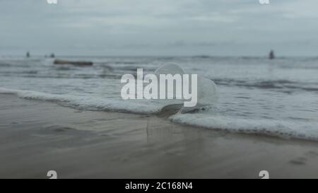 Tazza di plastica trasparente monouso abbandonata sulla spiaggia trascinata dalla marea che stancarsi il mare Foto Stock