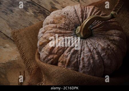 Zucca sul legno vecchio. Foto Stock