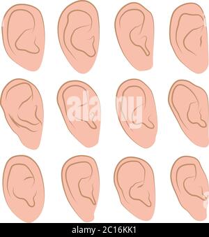 Illustrazioni vettoriali Set di orecchie umane disegnate a mano in varie forme su sfondo bianco. Illustrazione Vettoriale