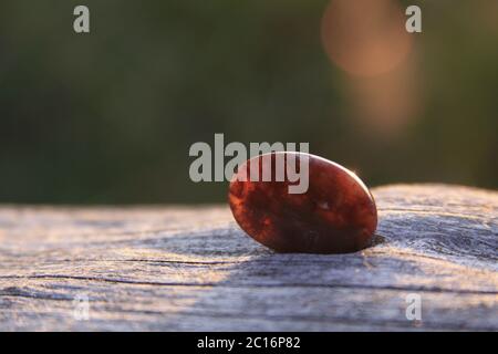 Muschio rosso profondo agita su legno. L'agata di muschio è una gemma semi-preziosa formata da biossido di silicio, che include minerali incorporati nella pietra, formina Foto Stock