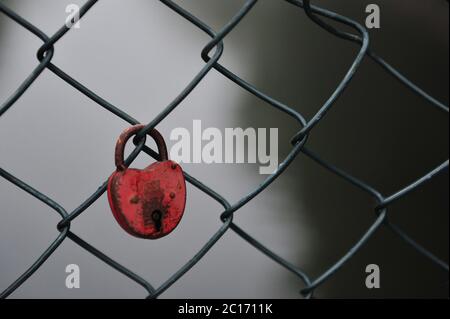 Un solo lucchetto rosso appeso alla recinzione a rete. Grigio chiaro, sfondo nero. Immagine orizzontale. Foto Stock