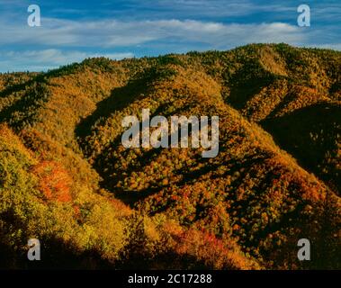 Autunno sopra il fiume Ocolanuftee, Great Smoky Mountains National Park, North Carolina Foto Stock