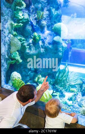 New Orleans Louisiana, Woldenberg Riverfront Park, Audubon Aquarium of the Americas, ricerca, conservazione, vita acquatica, mostra marina, Caraibi subacquei Foto Stock