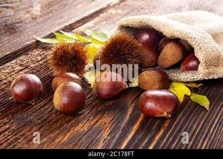 Materie le castagne in sacchetto di tela. Foto Stock