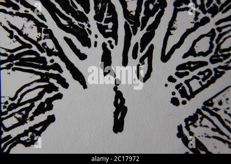 Fine anni '70 vintage in bianco e nero fotografia estrema di un grande vecchio albero con un sacco di rami. Foto Stock