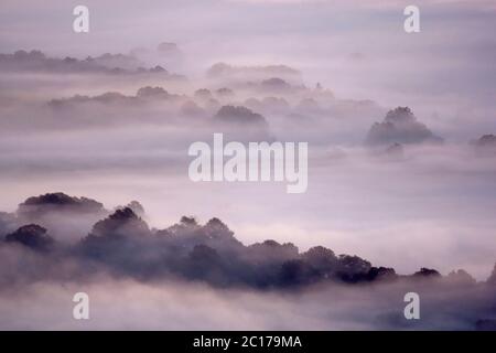 La nebbia di mattina presto copre la campagna inglese in autunno. Malvern, Worcestershire, Inghilterra Regno Unito Foto Stock