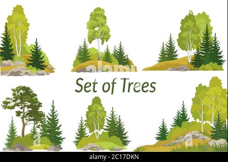 Paesaggi con alberi e rocce Foto Stock