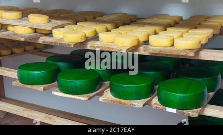 Vista di un gruppo di formaggi avvolti in cera d'api verde su mensole in legno all'interno di una cantina di invecchiamento del formaggio Foto Stock