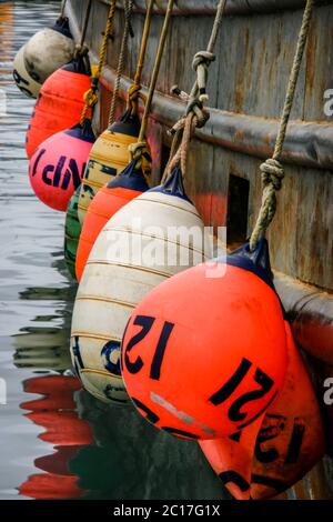 Boe colorati appesi su una barca da pesca, Seward harbor, Alaska Foto Stock