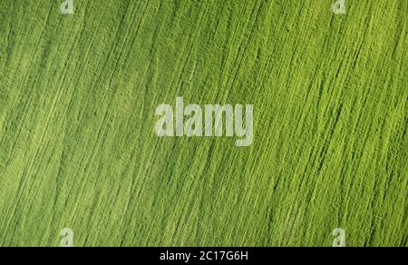 Texture di campo verde terra in giornata di sole sopra la vista dall'alto Foto Stock