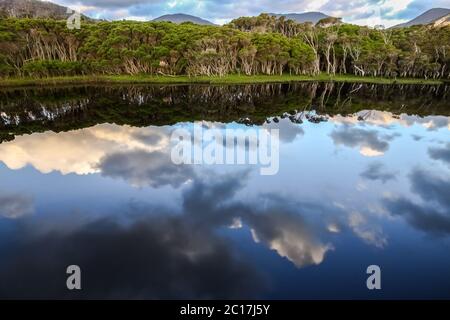 Riflessi nel fiume di marea, Wilsons Promontory National Park, Victoria, Australia Foto Stock