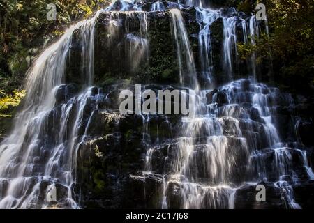 Close up di Nelson cade, la Tasmania Foto Stock