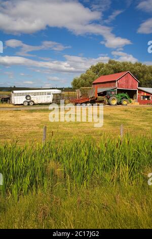 Fattoria vicino Ronan, Missoula Regione, Montana, Stati Uniti Foto Stock