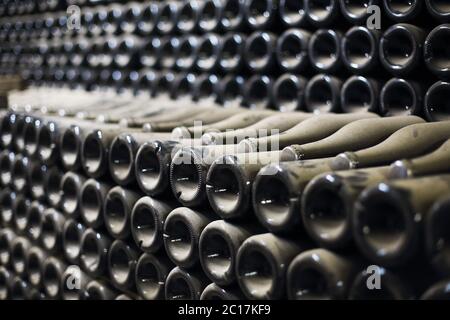 Bottiglie di vino o champagne invecchiate in cantina Foto Stock
