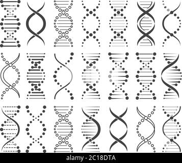 Struttura dello schizzo dei cromosomi Illustrazione Vettoriale