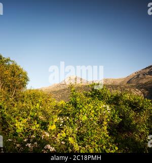 Pinnacle nella Sierra de las Nieves in Andalusia Foto Stock