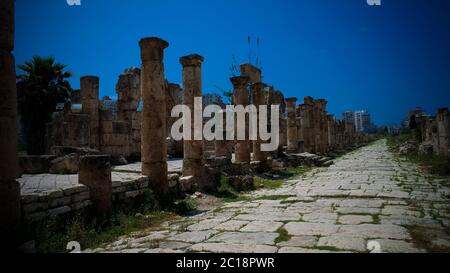 Resti di antiche colonne al sito di scavo al Mina a Tire, Libano Foto Stock