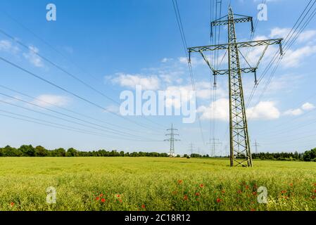 Linee elettriche su un prato verde con papaveri, Weinheim, Baden-Württemberg, Germania Foto Stock