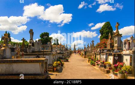 Francia, Carcassonne - 20 GIUGNO 2018. Antico cimitero con statue e lapidi in marmo per le tombe in giornata di sole vicino al castello di Carcassonne. Selettivo Foto Stock