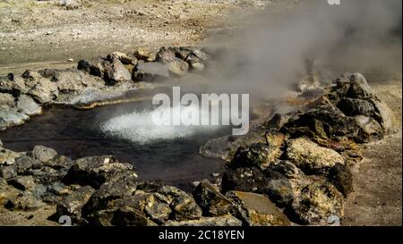 Campi geotermici vicino al lago di Furnas, Sao Miguel, Azzorre, portogallo Foto Stock