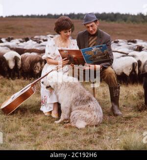 österreichische Schlagersängerin, Schäfer, sunt mit einer Gitarre vor einer Herde Schafe und deren Lüneburger in der 1984 Heide, Deutschland um  . La cantante austriaca Lolita suona una chitarra e canta con un gregge di pecore e il suo pastore a Lueneburg Heath, Germania intorno al 1984. Foto Stock