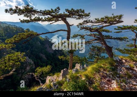 Vista dalla Banjska stena sul fiume Drina, Serbia Foto Stock