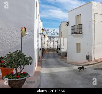 Strade di una città bianca chiamata Lucanena de las Torres in Spagna. Alcuni fiori e balconi. Foto Stock