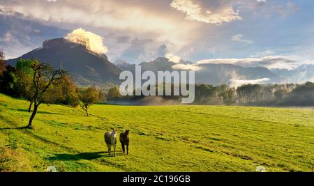 una foto di paesaggio di due cavalli in un prato verde con montagne e nuvole in lontananza Foto Stock