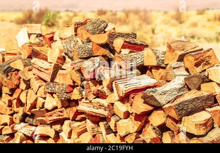 Legna da ardere di betulla accatastata in un mucchio Foto Stock