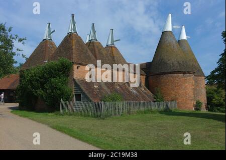 Tipica casa di produzione di oast in Kent progettata per l'essiccazione del luppolo come parte del processo di produzione della birra Foto Stock